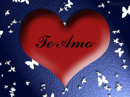 arame  je n ai aucune doute sur mes sentiments je t aime